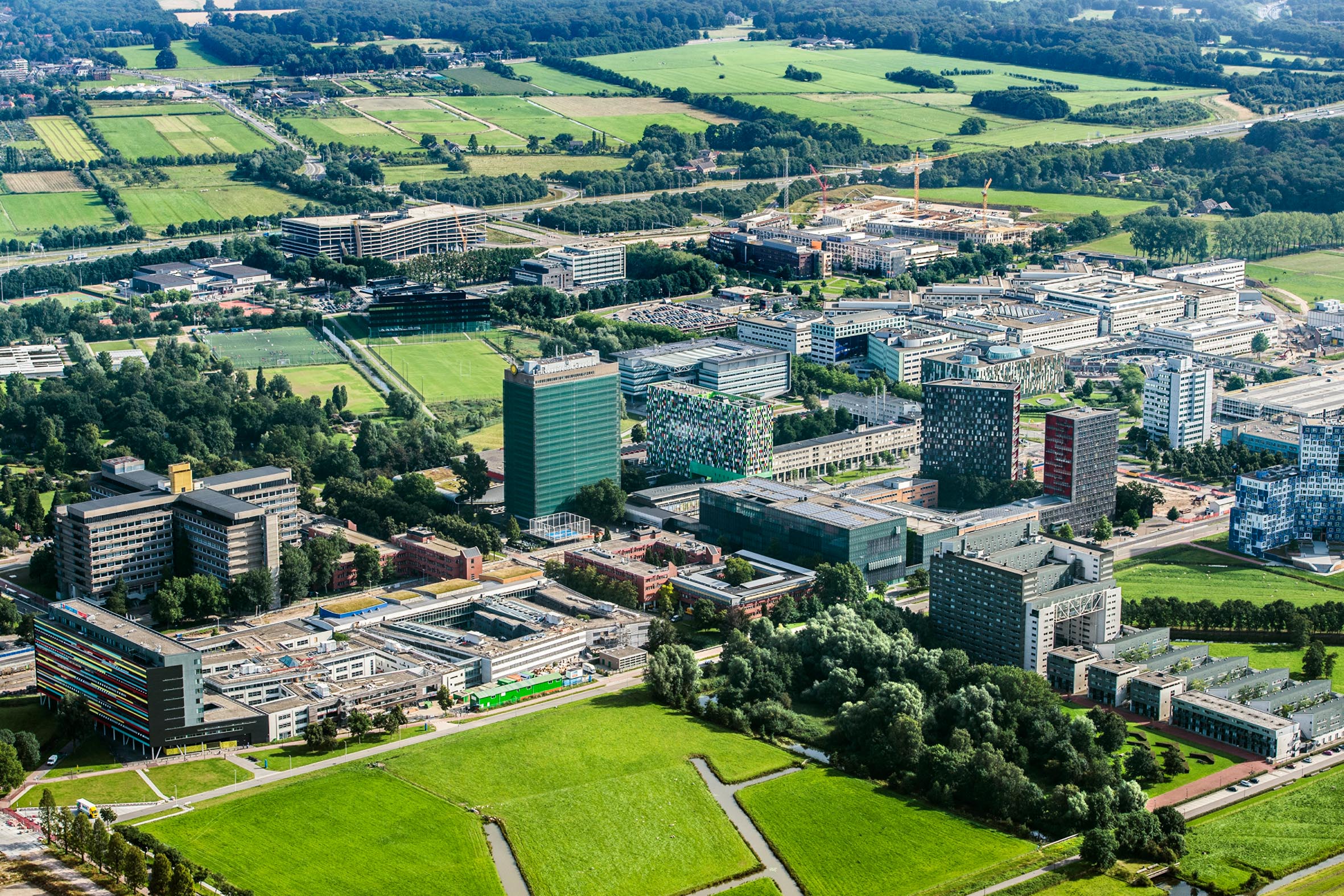 стэнфордский университет архитектура кампуса. утрехтский университет нидерланды. настоящие кампусы. настоящие кампусы. школа франция кампус.